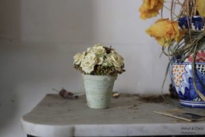 IMG_0642-b