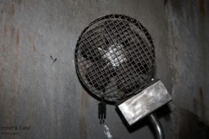 IMG_1750-b k