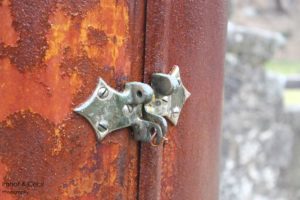 IMG_7259-b k