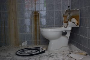 IMG_7848_2 k