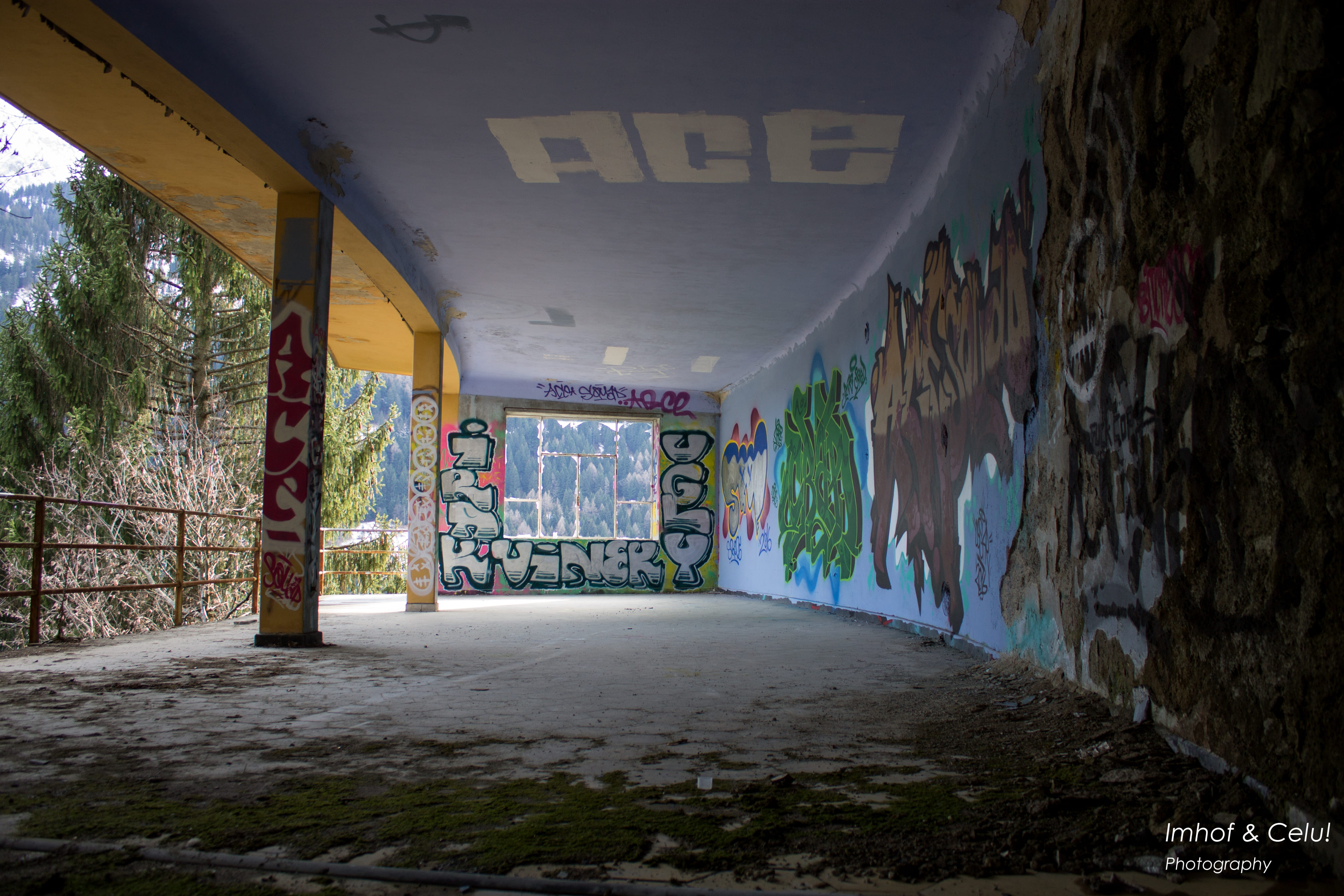IMG_7973_2 k